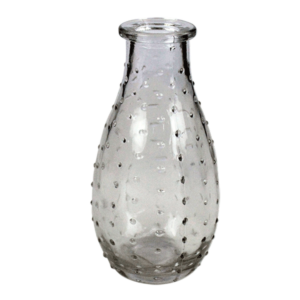 Garrafas Vidro Bojuda Transparent GB-02 - Kit