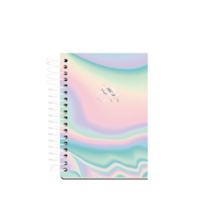 AGENDA ESPIRAL C/D 168FLS LUMI PLANNER R.LU02PL
