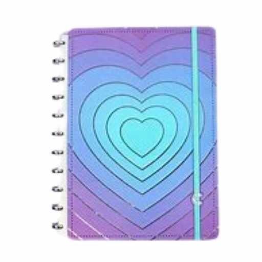 CADERNO INTELIGENTE GRANDE SILVER LOVE R.CIGD4127$